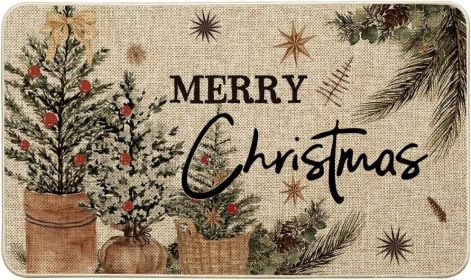 Holly Merry Christmas Doormat, Winter Xmas Ornament Home Decor Low-Profile Switch Rug Door Mat Floor Mat for Indoor Outdoor 17x29 Inch